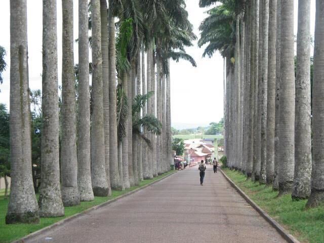Ghana study abroad